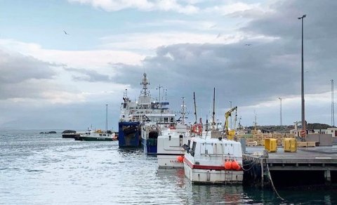 Ljósmynd: Reynir Lýðsson