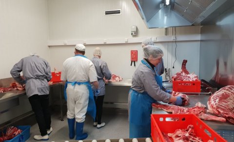 Mynd fengin að láni frá heimasíðu SSNV