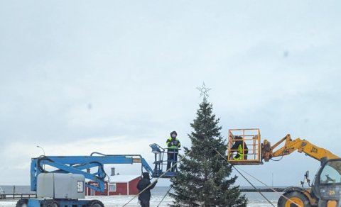 Ljósin tendruð á jólatrénu við Hnappstaðatún