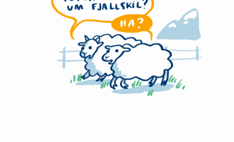 Skoðanakönnun um mögulegar sameiningarviðræður