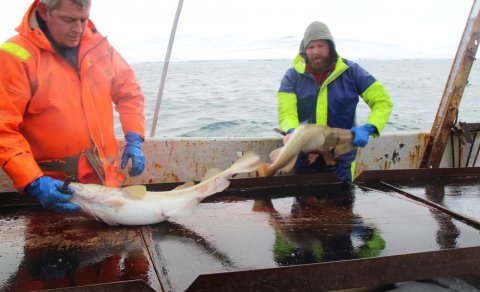 Ljósmynd: Janette Kerr