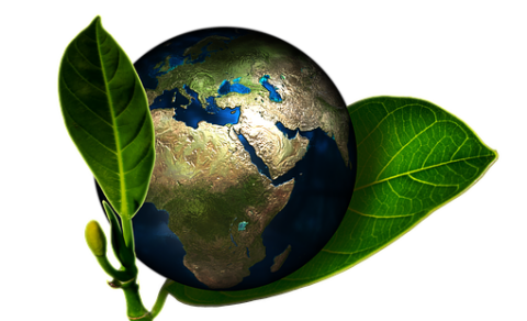 Umhverfis- og umgengnismál