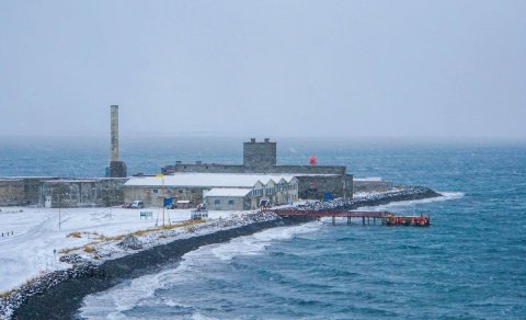 The Phoenix Factor – Fönix áhrifin