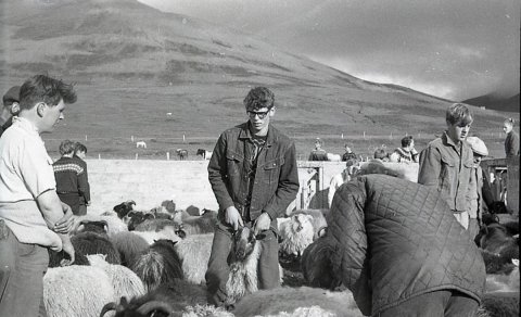 Ljósmynd: Guðmundur Kr. Guðnason