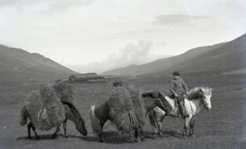 Ljósmynd: Guðmundur Guðnason