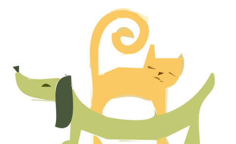 Skráning hunda og katta