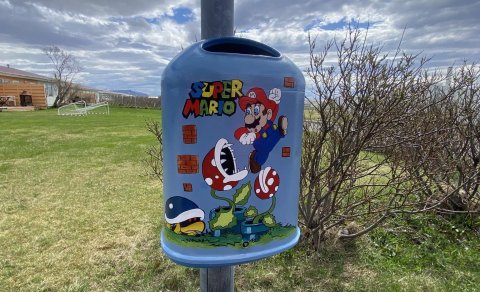 Sumstarstörf: auglýst eftir flokkstjórum til starfa