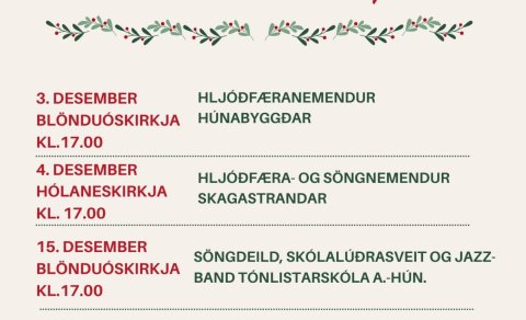 Jólatónleikar Tónlistarskóla A-Hún