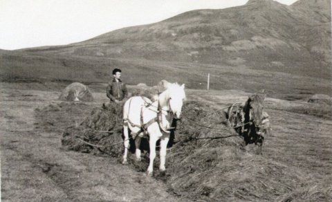 Ljósmynd: Ingibergur Guðmundsson - safn