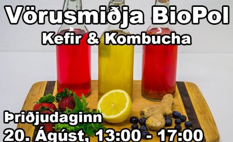 Mynd fengin að láni frá https://rettir.is/