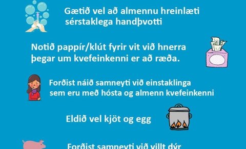 Mynd fengin að láni frá fb-síðu Embættis landlæknis
