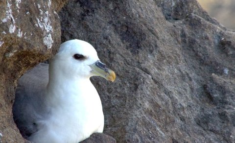 Ljósmynd: Hjalti Viðar Reynisson