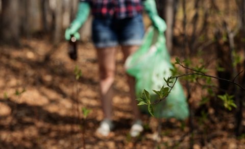 Plokkun á Skagaströnd