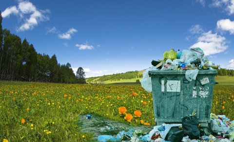 Stóri plokkdagurinn sunnudaginn 28. apríl