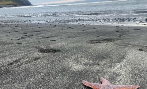 Lokað á skrifstofu sveitarfélagins á morgun föstudaginn 11. mars