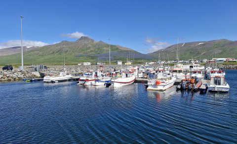 Umsögn sveitarfélagsins vegna fyrirhugaðra breytinga á byggðarkvótakerfinu