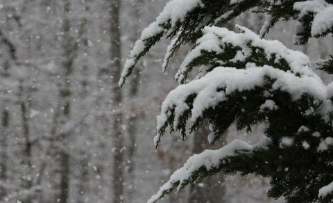 Vegna ófærðar er Bókasafn Skagastrandar lokað í dag