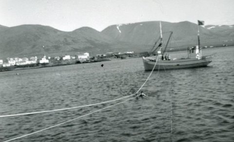 Ljósmynd: Stefán Jósefsson