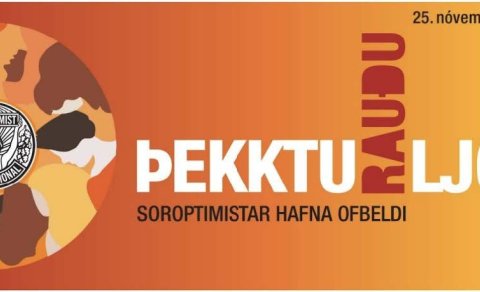 Þekktu rauðu ljósin