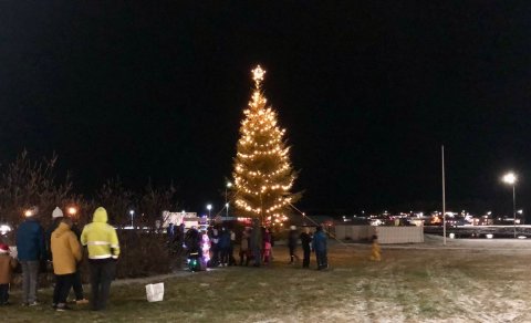 Kveikt á jólatrénu á Hnappstaðatúni