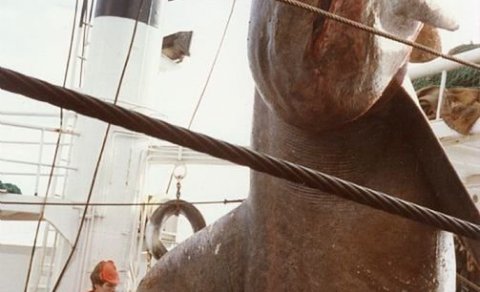 Ljósmynd: Vélaverkstæði Skagastrandar - safn