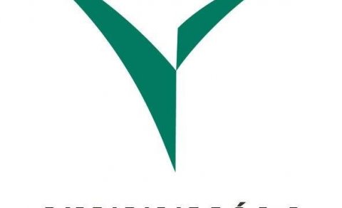 Starfsfólk í sumarafleysingu hjá Greiðslustofu