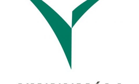 Laus störf hjá Greiðslustofu Vinnumálastofnunar